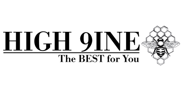HIGH 9INE - logo